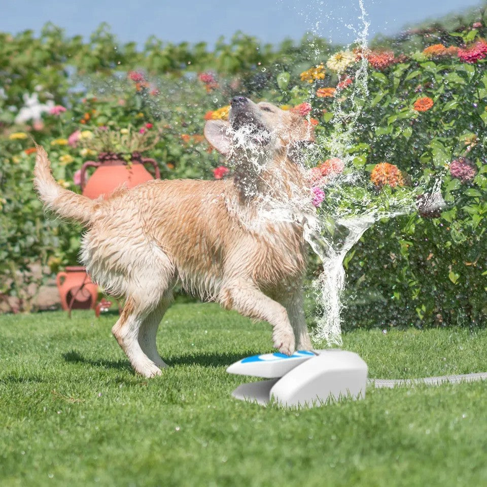 Dog Water Fountain With 2 Modes Spray - Step On Dog Fountain