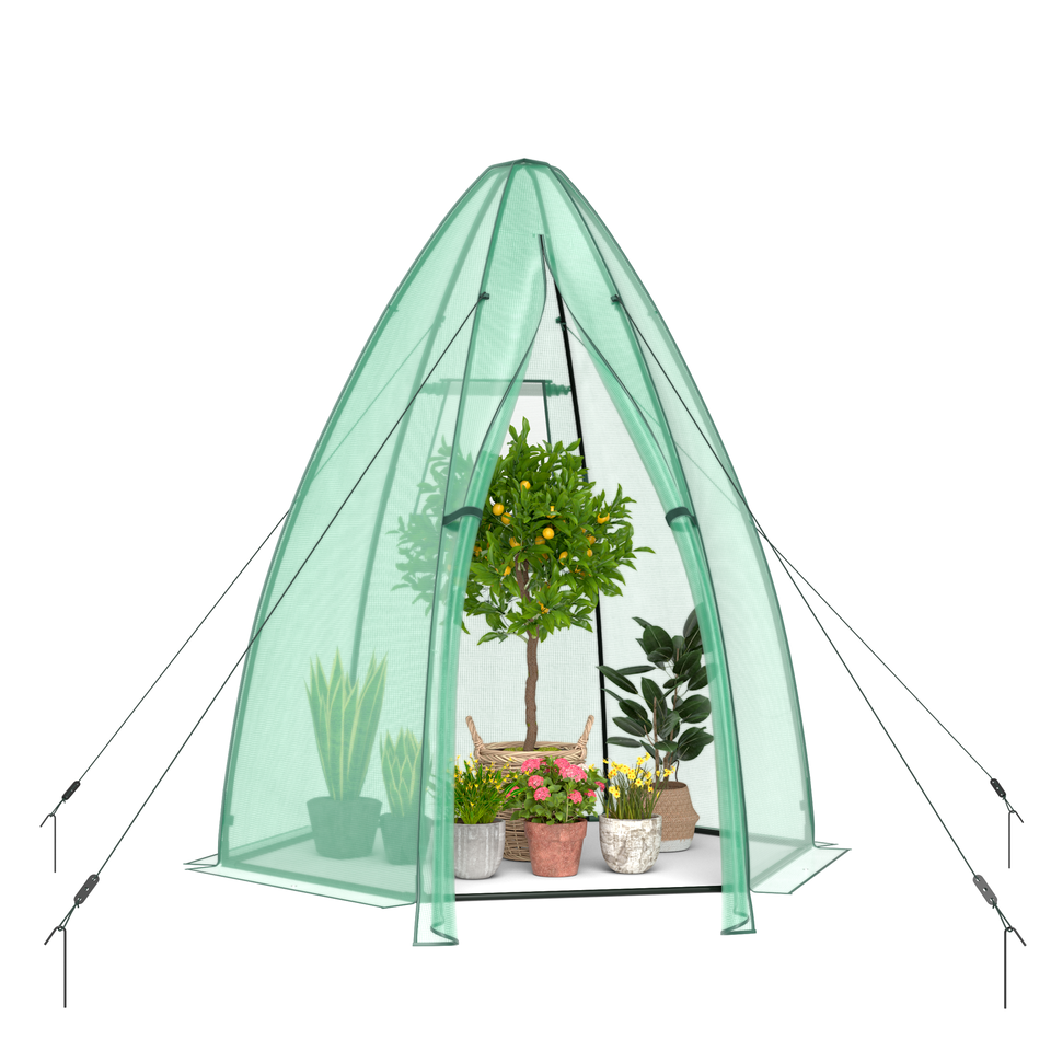 Greenhouse - 5.5 x 5.5 x 6 Ft Mini Greenhouse With Metal Frame