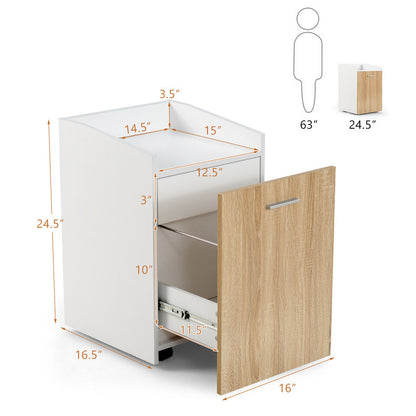 File Cabinet - 2 Drawer File Cabinet With 2 Lockable Caster