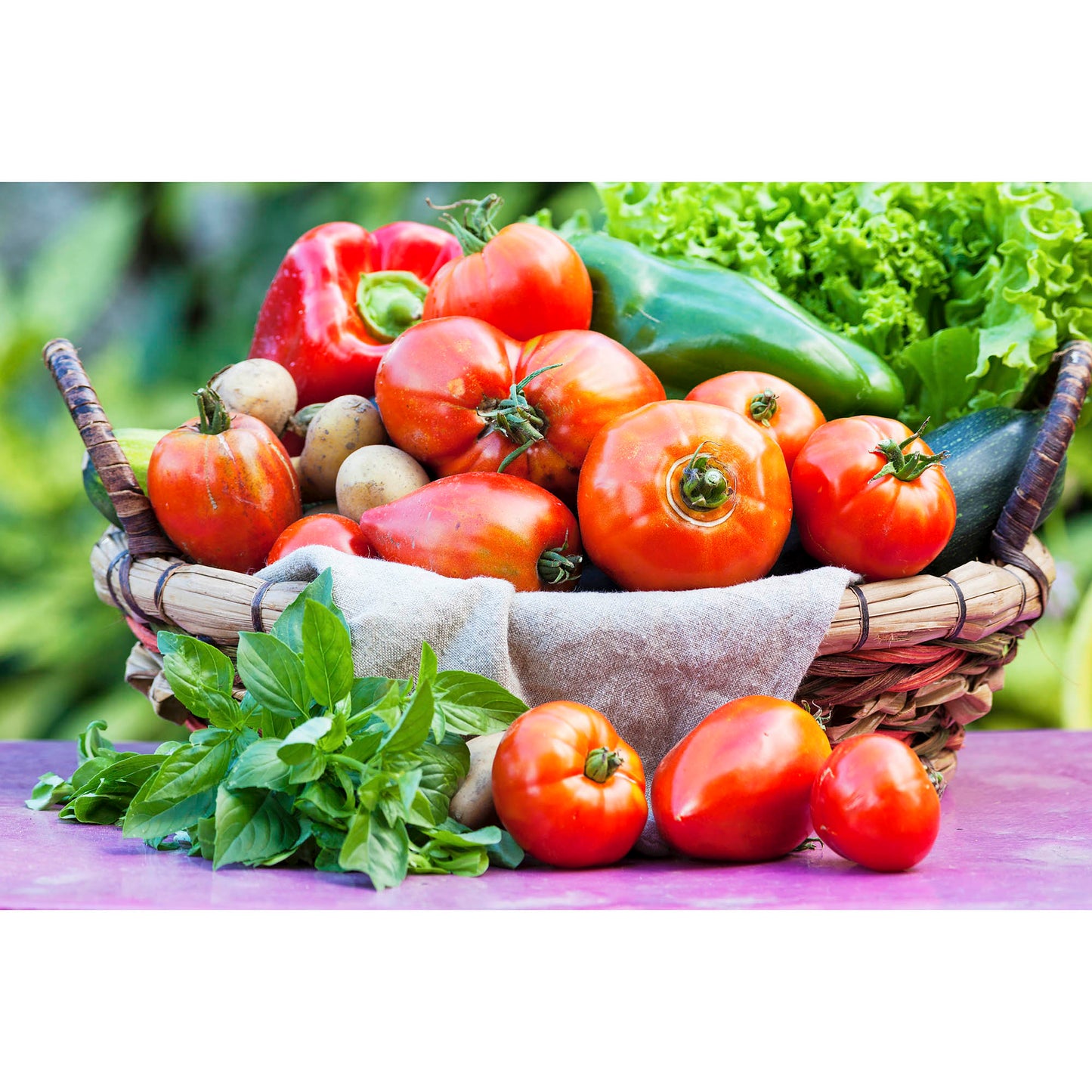 Heirloom Garden Seeds - 101 Varieties Vegetables Fruits Herbs Non-GMO Seeds