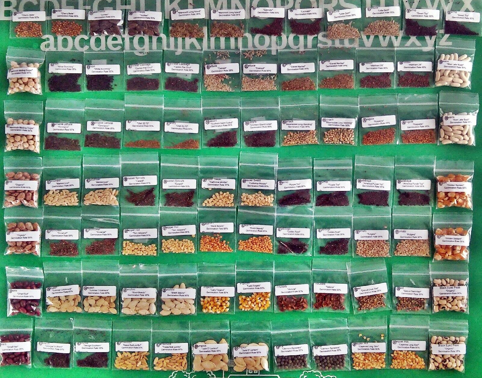 Thousands of Heirloom Seeds 39 Varieties Non-GMO Organic Survival Seeds