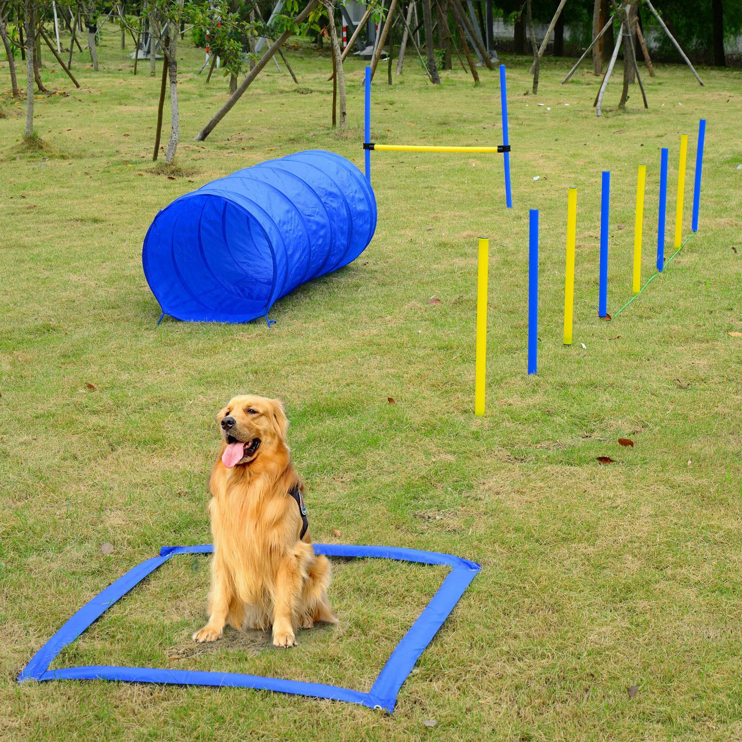Dog Obstacle Course - Dog Agility Training Tools