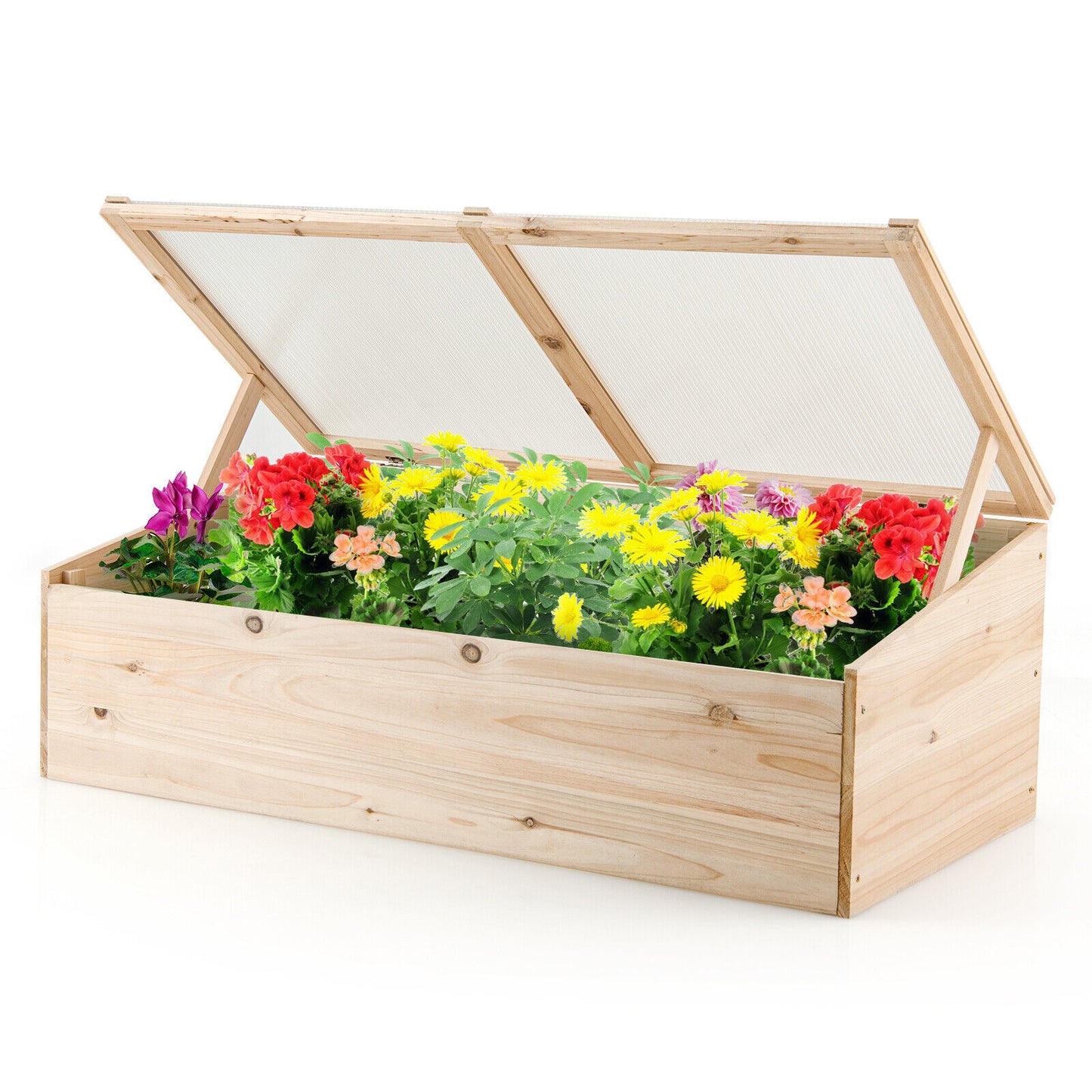 Greenhouse - 39 Inches Wooden Cold Frame Mini Greenhouse